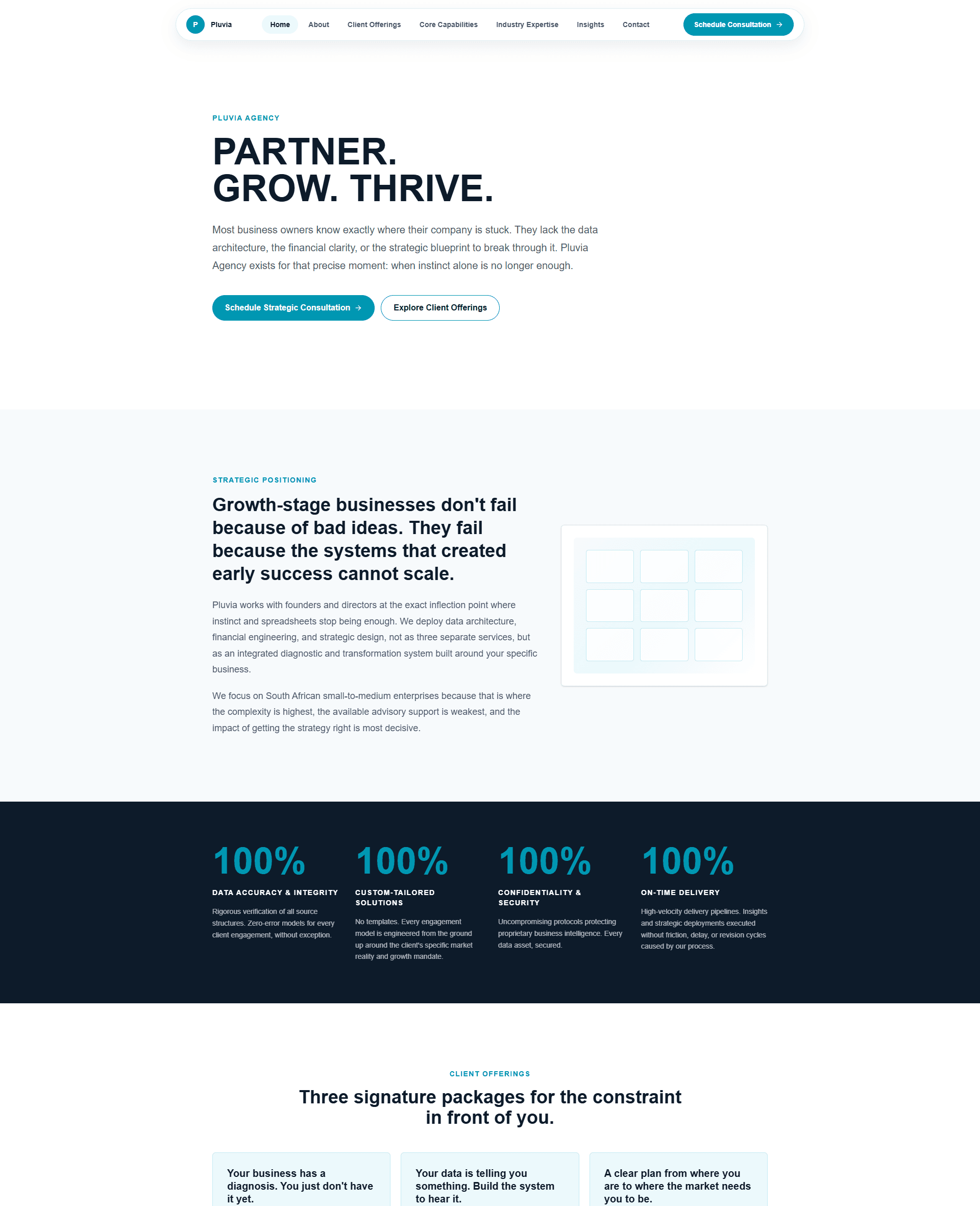 Pluvia Agency - Marketing & Blog Platform screenshot
